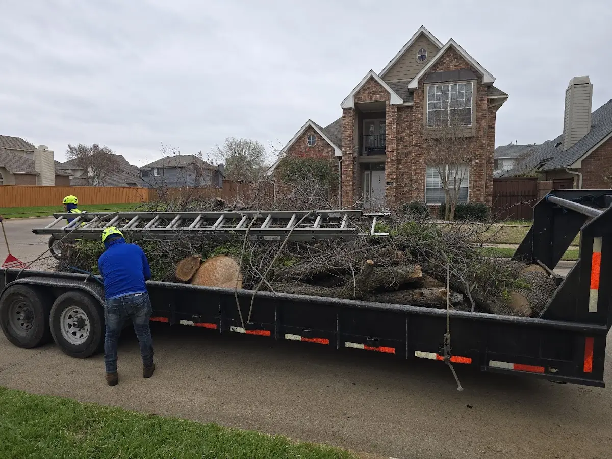 Expert Tree Removal with proper safety equipment in Gainestown
